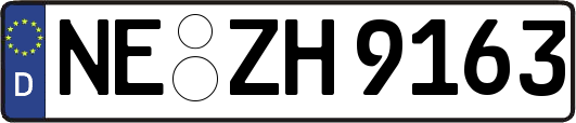 NE-ZH9163