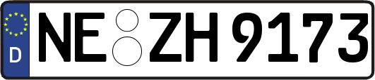 NE-ZH9173