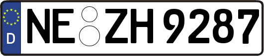 NE-ZH9287