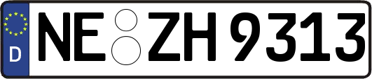 NE-ZH9313