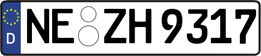 NE-ZH9317