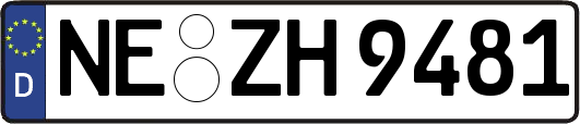 NE-ZH9481