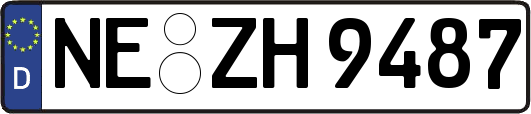 NE-ZH9487