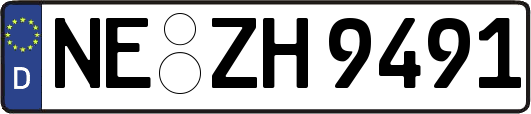 NE-ZH9491