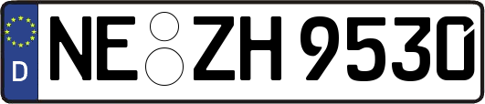 NE-ZH9530