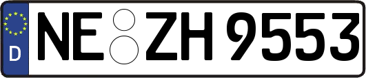 NE-ZH9553