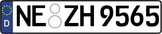NE-ZH9565