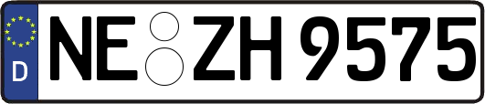 NE-ZH9575