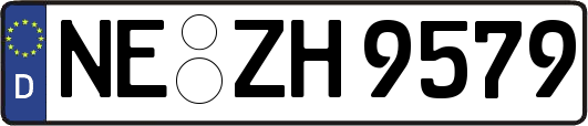 NE-ZH9579