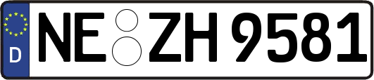 NE-ZH9581