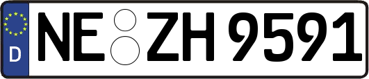NE-ZH9591