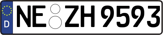 NE-ZH9593