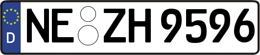 NE-ZH9596