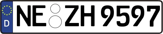 NE-ZH9597