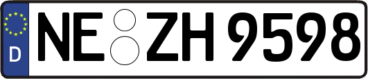 NE-ZH9598