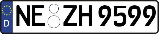 NE-ZH9599