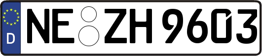 NE-ZH9603