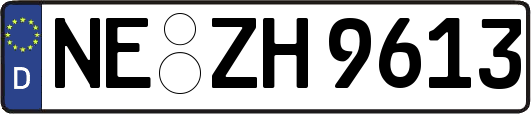 NE-ZH9613