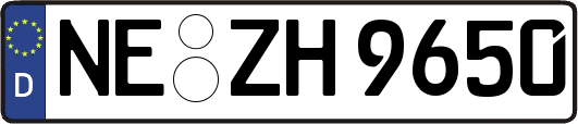 NE-ZH9650