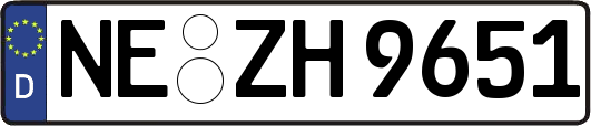 NE-ZH9651
