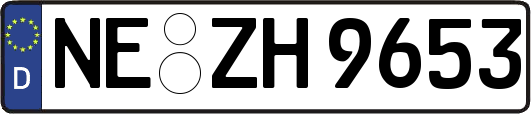 NE-ZH9653