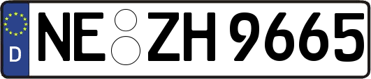 NE-ZH9665