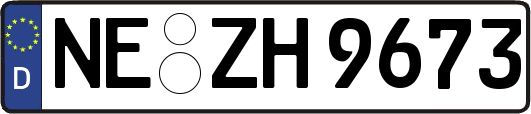 NE-ZH9673