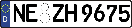 NE-ZH9675