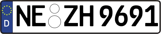 NE-ZH9691
