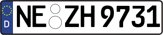 NE-ZH9731