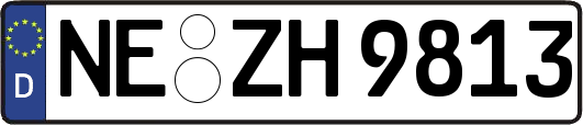 NE-ZH9813