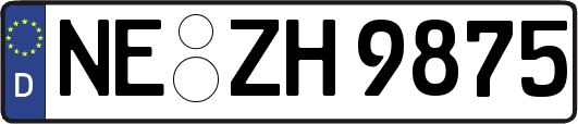 NE-ZH9875