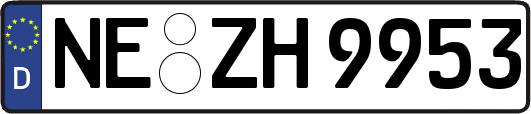 NE-ZH9953