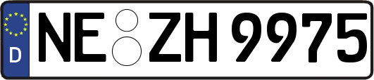 NE-ZH9975