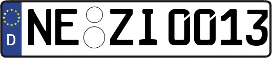 NE-ZI0013