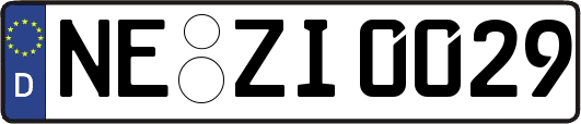 NE-ZI0029