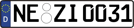 NE-ZI0031