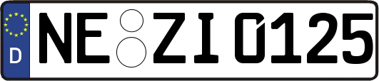 NE-ZI0125