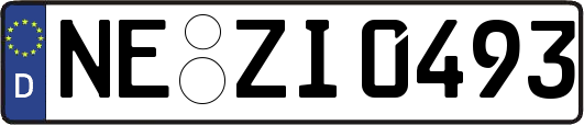 NE-ZI0493