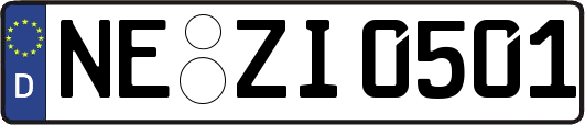 NE-ZI0501