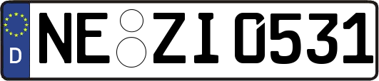 NE-ZI0531