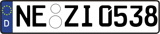 NE-ZI0538