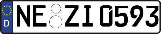 NE-ZI0593