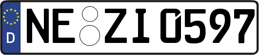 NE-ZI0597