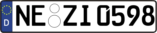 NE-ZI0598