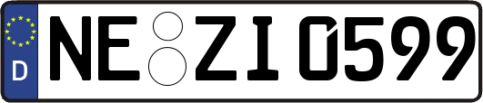 NE-ZI0599