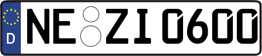NE-ZI0600
