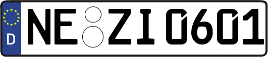 NE-ZI0601