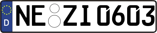 NE-ZI0603