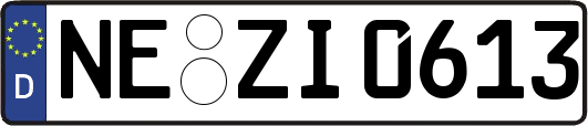 NE-ZI0613